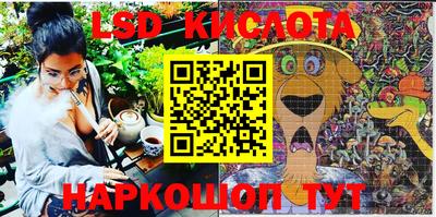 ПСИЛОЦИБИНОВЫЕ ГРИБЫ Кимры