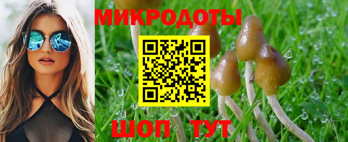 Кизляр  где найти наркотики  Вход с VPN  Галлюциногенные грибы ЛСД 